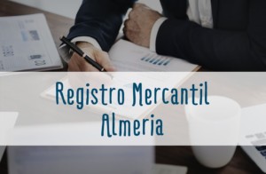 borme almeria, registro mercantil de almeria